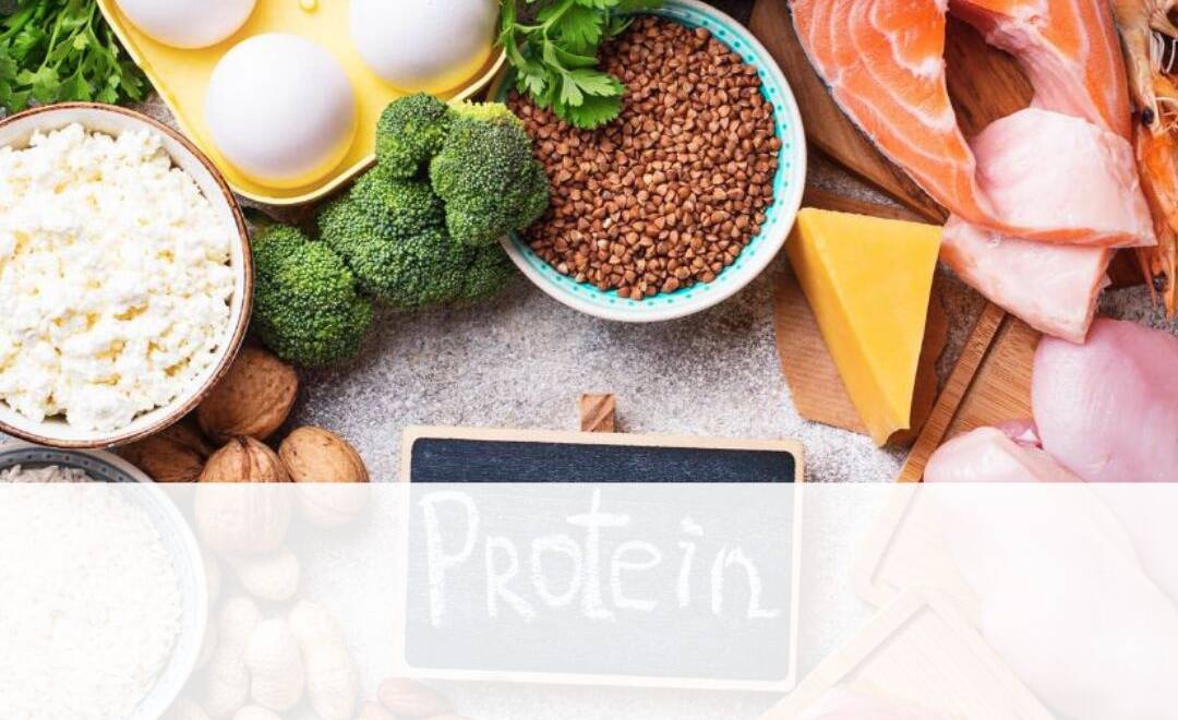 The Power of Protein
